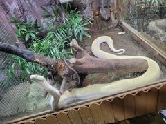 -上海大自然野生昆虫馆(东方明珠·爬宠昆虫探索中心)