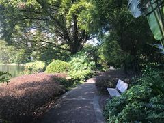 -晓港公园