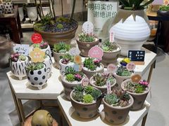 -弗劳尔花艺坊(龙涛店)