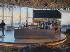 -Seesaw Coffee(朝阳大悦城店)