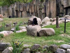 -上海野生动物园