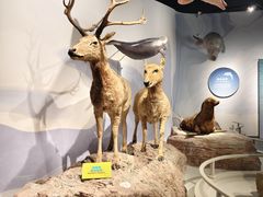 -中国湿地博物馆