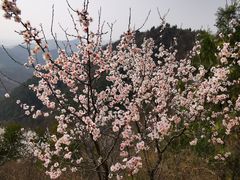 -蟠龙山长城景区