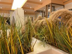 -做披萨的奇葩(中海央墅店)