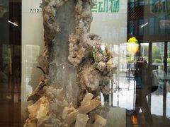 -贵州省地质博物馆