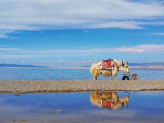 -青海湖国家重点风景名胜区
