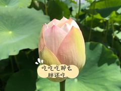 -古田会议纪念馆