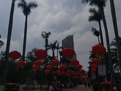 -万绿园
