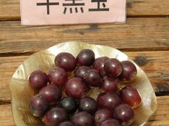 -马陆小张葡萄园农家乐