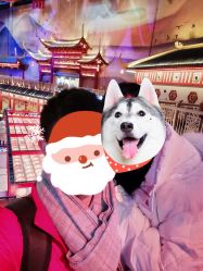 -南京万达乐园