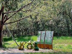-同里国家湿地公园