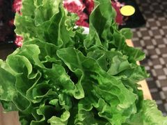 -陈记顺和牛肉火锅馆(林乐路店)
