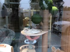-奶牛家宠物酒店(嘉宏云顶店)