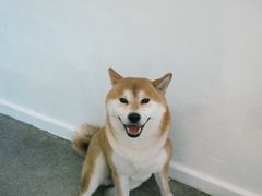 -三目仓咖啡(贤南路店)