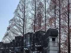 -音乐台