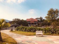 -大屏嶂森林公园