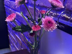 -blue frog蓝蛙(长泰广场店)