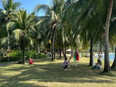 -日落吧·海景咖啡厅·餐酒吧·鸡尾酒·下午茶·乐队表演·浪漫夕阳·三亚文华东方酒店