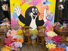 -布拉格餐厅· 中欧捷克菜(全国首店)