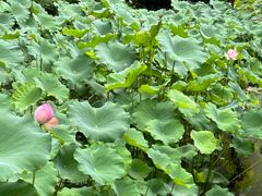 -成都杜甫草堂博物馆