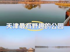 -西青郊野公园