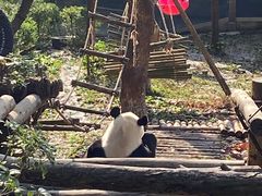 -黔灵山公园