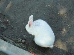 -苏州太湖西山岛开心农场