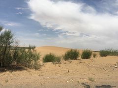 -亿利库布其七星湖沙漠生态旅游区