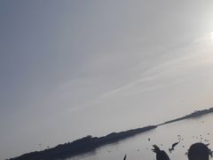 -日照世帆赛基地