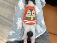 -猪盟咖啡店(玖洲道店)