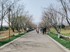 -长田漾湿地公园