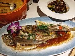 -33号大院·青岛本帮菜(五四广场店)