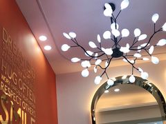 -光明新鲜屋·鲜乳茶(乾坤店)