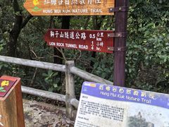 -狮子山郊野公园