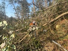 -青龙山国家森林公园