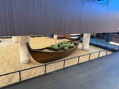 -大头椰·椰子鸡火锅(南宁万象城店)