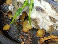 -鑫鸿达·海鲜闽菜热炒小馆(中山路店)