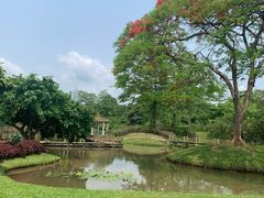 -中国科学院西双版纳热带植物园