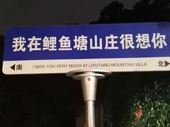 -鲤鱼塘农家山庄