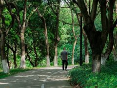 -燕晗山郊野公园