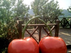 -樱桃山旅游景区