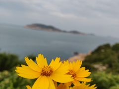 -南麂列岛