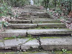 -杭州半山国家森林公园