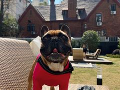 -一尺花园(安和花园店)