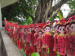 -广州市白云山风景名胜区