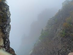 -牛背梁国家森林公园