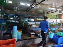 -东寨港红树林旅游区