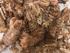 -宾朋海鲜特色美食餐厅·纯手工鲅鱼水饺(兴海路店)