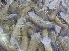 -集品鲜湾·蒸汽海鲜自助料理(青岛银座和谐广场店)