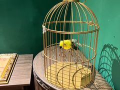 -Xcape异时刻密室逃脱(龙湖丁桥天街店)